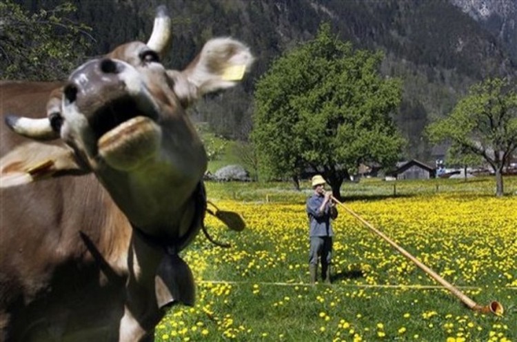 Τα πιο αστεία photobombs που έχουμε δεί! - Εικόνα 18