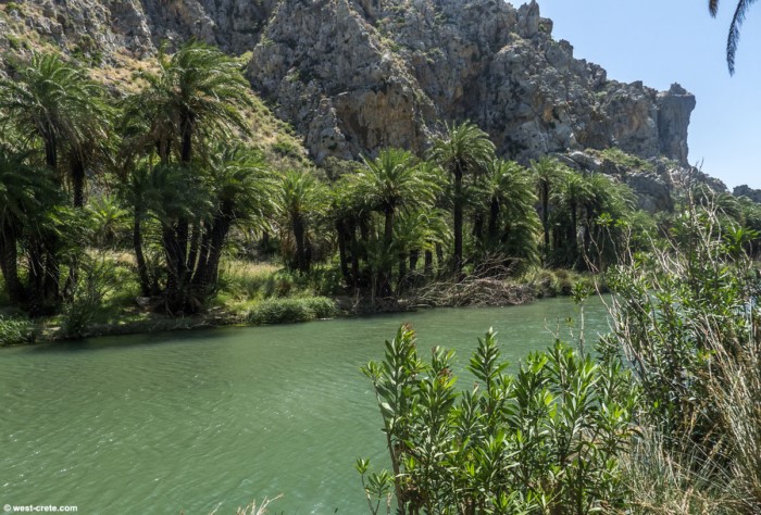 Η παράξενη παραλία της Ελλάδας που θυμίζει.. Αφρικανική όαση! - Εικόνα 7