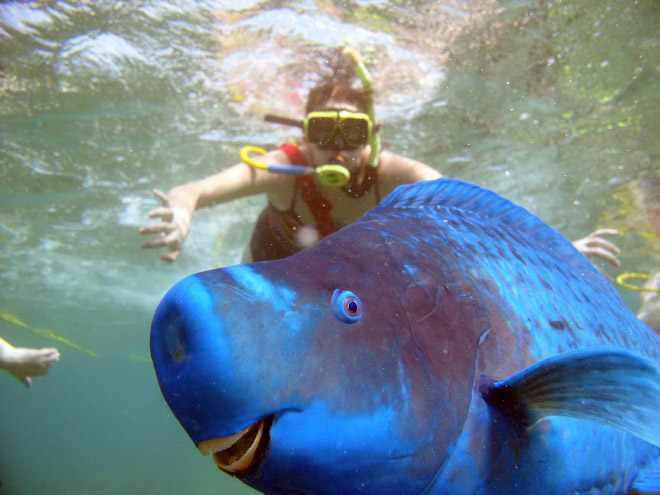 Ζωάκια Κάνουν Photobomb και Δεν τους Νοιάζει Τίποτα! - Εικόνα 4