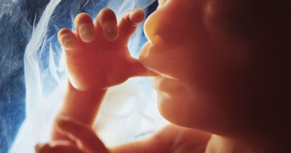 10 Φανταστικές εικόνες που δείχνουν τα στάδια ανάπτυξης ενός εμβρύου