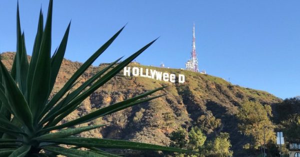 Για χάρη της...μαριχουάνας, η πινακίδα "HOLLYWOOD" έγινε "HollyWEED"