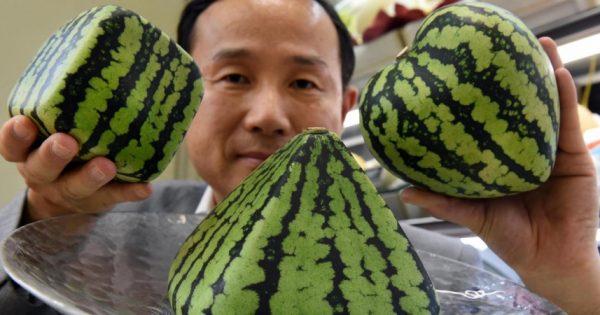 Ιαπωνία: Πουλάνε φρούτα με τιμή 25.000 ευρώ!