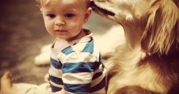 15 Σκύλοι που θα έκαναν τα πάντα για τα παιδιά που αγαπούν