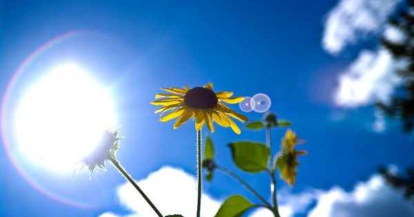 Πρόγνωση καιρού για Δευτέρα 8-5-2017