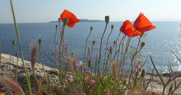 Πρόγνωση καιρού για Τετάρτη 3-5-2017